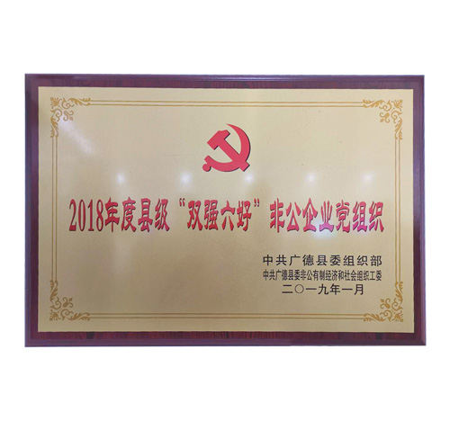 安徽广晟德党支部被评为“双强六好”非公企业党组织